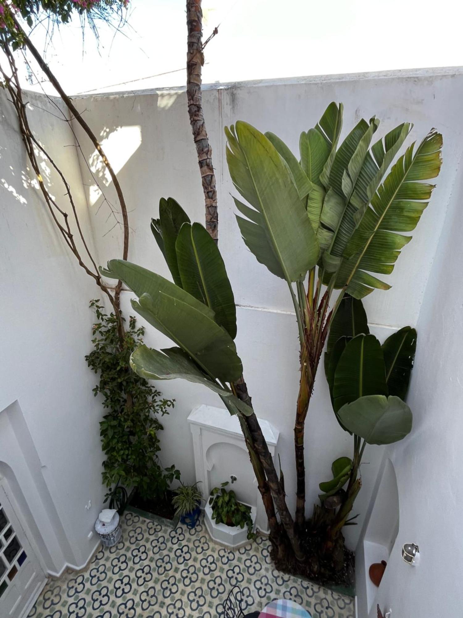 Villa Casabonita Asilah Camera foto